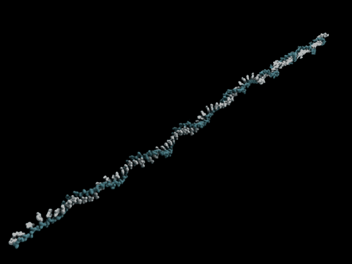 4QAc.gif