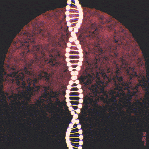 137232_900.gif